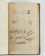 Load image into Gallery viewer, Descriptions and Figures of Petrifactions, found in the Quarries, Gravel-Pits …