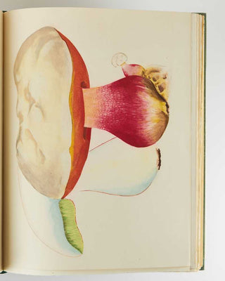 WASSON, Valentina Pavlovna; R. Gordon WASSON. Mushrooms, Russia and History. [[bmid:2123906d]]