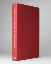 Load image into Gallery viewer, The Life of Mammals