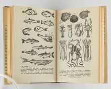 Load image into Gallery viewer, DAVID, Elizabeth; Renato GUTTUSO ( illustrator ). Italian Food.