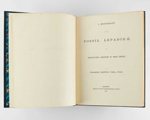 Load image into Gallery viewer, DARWIN, Charles Robert. A Monograph on the Fossil Lepadidae, or, Pedunculated Cirripedes of Great Britain with A Monograph on the Fossil Balanidae and Verrucidae of Great Britain].