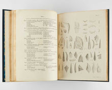 Load image into Gallery viewer, DARWIN, Charles Robert. A Monograph on the Fossil Lepadidae, or, Pedunculated Cirripedes of Great Britain with A Monograph on the Fossil Balanidae and Verrucidae of Great Britain].