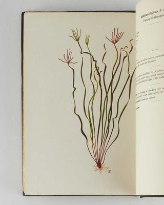 HAIGH, Dr. J. C. A Manual on the Weeds of the Major Crops of Ceylon.