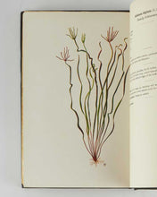 Load image into Gallery viewer, HAIGH, Dr. J. C. A Manual on the Weeds of the Major Crops of Ceylon.