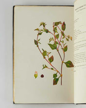 Load image into Gallery viewer, HAIGH, Dr. J. C. A Manual on the Weeds of the Major Crops of Ceylon.
