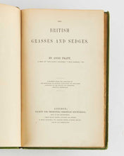 Load image into Gallery viewer, PRATT, Anne The British Grasses and Sedges.