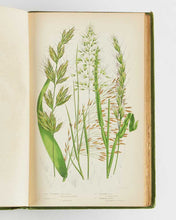 Load image into Gallery viewer, PRATT, Anne The British Grasses and Sedges.