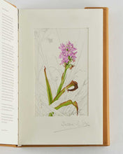 Load image into Gallery viewer, SAYERS, Brendan; Susan SEX ( illustrator ). Ireland's Wild Orchids. A Field Guide. [[bmid:2124357c]]