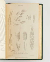 Load image into Gallery viewer, PARNELL, Richard. The Grasses of Scotland bound with The Grasses of Britain.