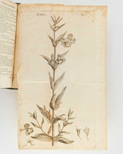 Load image into Gallery viewer, LINNAEUS, Carl. Hortus Upsaliensis exhibens plantas exoticas horto Upsaliensis Academiae a sese illatas, ab anno 1742, in annum 1748, additis differentiis, synonymis, habitationibus hospitiis, rariorumque desciptionibus. In gratiam studiosae juventutis. [[bmid:2124906b]]