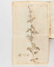 Load image into Gallery viewer, LINNAEUS, Carl. Hortus Upsaliensis exhibens plantas exoticas horto Upsaliensis Academiae a sese illatas, ab anno 1742, in annum 1748, additis differentiis, synonymis, habitationibus hospitiis, rariorumque desciptionibus. In gratiam studiosae juventutis. [[bmid:2124906c]]