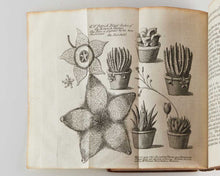 Load image into Gallery viewer, BERTHOLON, Pierre. De l’électricité des végétaux. Ouvrage dans lequel on traite de l’électricité de l'atmosphère sur les plantes … [[bmid:2124908d]]