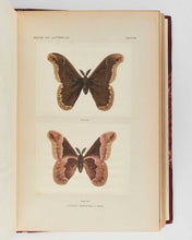 Load image into Gallery viewer, DENTON, Sherman Foote As Nature Shows Them: Moths and butterflies of the United States east of the Rocky Mountains, with over 400 photographic illustrations in the text and many transfers of species from life.