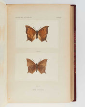 Load image into Gallery viewer, DENTON, Sherman Foote As Nature Shows Them: Moths and butterflies of the United States east of the Rocky Mountains, with over 400 photographic illustrations in the text and many transfers of species from life.