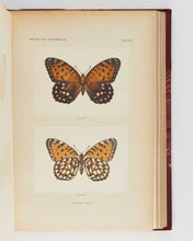 Load image into Gallery viewer, DENTON, Sherman Foote As Nature Shows Them: Moths and butterflies of the United States east of the Rocky Mountains, with over 400 photographic illustrations in the text and many transfers of species from life.
