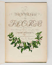 Load image into Gallery viewer, GLEADALL, Eliza Eve. The Beauties of Flora with Botanic and Poetic Illustrations: Being a Selection of Flowers Drawn from Nature, Arranged Emblematically, with Directions for Colouring Them. [[bmid:2124911c]]