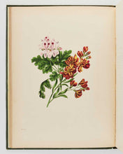 Load image into Gallery viewer, GLEADALL, Eliza Eve. The Beauties of Flora with Botanic and Poetic Illustrations: Being a Selection of Flowers Drawn from Nature, Arranged Emblematically, with Directions for Colouring Them. [[bmid:2124911e]]