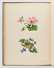 Load image into Gallery viewer, GLEADALL, Eliza Eve. The Beauties of Flora with Botanic and Poetic Illustrations: Being a Selection of Flowers Drawn from Nature, Arranged Emblematically, with Directions for Colouring Them. [[bmid:2124911f]]