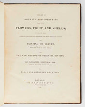 Load image into Gallery viewer, WHITTOCK, Nathaniel. The Art of Drawing and Colouring from Nature; Flowers, Fruit, and Shells to which is Added, Correct Directions for Preparing the Most Brilliant colours for Painting on Velvet, with the Mode of Using Them; also, the New Method of Orie… [[bmid:2124912a]]
