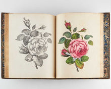 Load image into Gallery viewer, WHITTOCK, Nathaniel. The Art of Drawing and Colouring from Nature; Flowers, Fruit, and Shells to which is Added, Correct Directions for Preparing the Most Brilliant colours for Painting on Velvet, with the Mode of Using Them; also, the New Method of Orie… [[bmid:2124912b]]