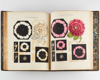 WHITTOCK, Nathaniel. The Art of Drawing and Colouring from Nature; Flowers, Fruit, and Shells to which is Added, Correct Directions for Preparing the Most Brilliant colours for Painting on Velvet, with the Mode of Using Them; also, the New Method of Orie… [[bmid:2124912c]]