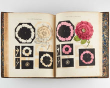 Load image into Gallery viewer, WHITTOCK, Nathaniel. The Art of Drawing and Colouring from Nature; Flowers, Fruit, and Shells to which is Added, Correct Directions for Preparing the Most Brilliant colours for Painting on Velvet, with the Mode of Using Them; also, the New Method of Orie… [[bmid:2124912c]]