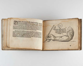 [FUGGER, Wolfgang.] [Ein nutzlich und wolgegrundt Formular manncherley schöner Schriefften. Als teutscher, lateinischer, griechischer, unnd hebraÿscher Buchstaben …]