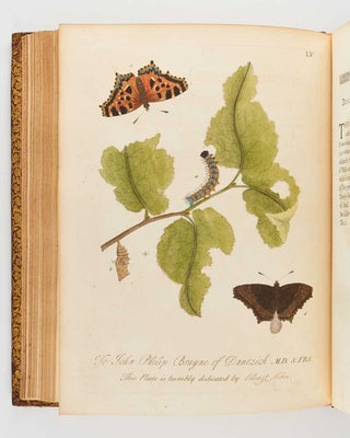 ALBIN, Eleazar; W. DERHAM. A Natural History of English Insects. Illustrated with a Hundred Copper Plates, Curiously Engraven from the Life: and (for Those who Desire it) exactly Coloured by the Author … [[bmid:2125138f]]