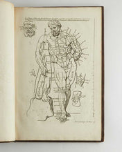 Load image into Gallery viewer, AUDRAN, Girard. Les proportions du corps humain, mesurées par les plus belles figures de l’antiquité.
