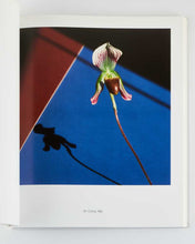 Load image into Gallery viewer, MAPPLETHORPE, Robert; Els BARENTS ( introduction ). Ten by Ten.