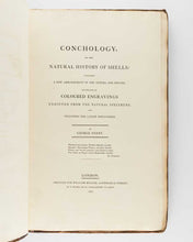 Load image into Gallery viewer, PERRY, George Conchology, or the Natural History of Shells: Containing a New Arrangement of the Genera and Species. Illustrated by Coloured Engravings, Executed from the Natural Specimens, and Including the Latest Discoveries. [[bmid:2125787a]]