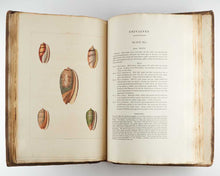 Load image into Gallery viewer, PERRY, George Conchology, or the Natural History of Shells: Containing a New Arrangement of the Genera and Species. Illustrated by Coloured Engravings, Executed from the Natural Specimens, and Including the Latest Discoveries. [[bmid:2125787b]]