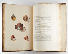 Load image into Gallery viewer, PERRY, George Conchology, or the Natural History of Shells: Containing a New Arrangement of the Genera and Species. Illustrated by Coloured Engravings, Executed from the Natural Specimens, and Including the Latest Discoveries. [[bmid:2125787d]]