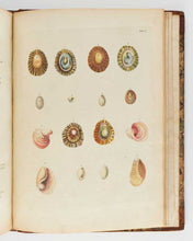 Load image into Gallery viewer, Da COSTA British Conchology [[bmid:2125788b]]