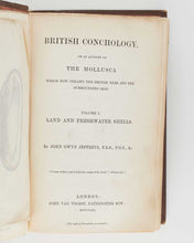 Load image into Gallery viewer, JEFFREYS, John Gwyn. British Conchology, or an Account of the Mollusca which now Inhabit the British Isles and the Surrounding Seas. [[bmid:2125790a]]