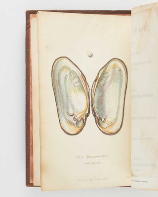 JEFFREYS, John Gwyn. British Conchology, or an Account of the Mollusca which now Inhabit the British Isles and the Surrounding Seas. [[bmid:2125790b]]