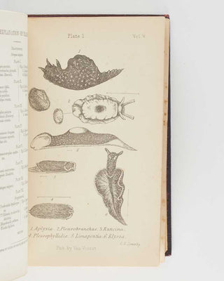 JEFFREYS, John Gwyn. British Conchology, or an Account of the Mollusca which now Inhabit the British Isles and the Surrounding Seas. [[bmid:2125790c]]