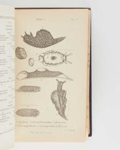 Load image into Gallery viewer, JEFFREYS, John Gwyn. British Conchology, or an Account of the Mollusca which now Inhabit the British Isles and the Surrounding Seas. [[bmid:2125790c]]