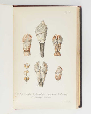 JEFFREYS, John Gwyn. British Conchology, or an Account of the Mollusca which now Inhabit the British Isles and the Surrounding Seas. [[bmid:2125790d]]