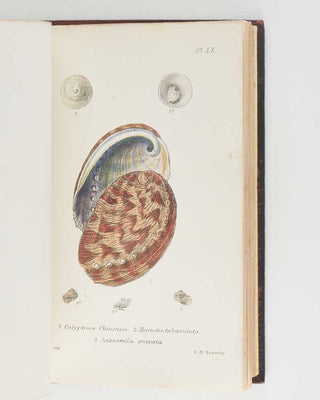 JEFFREYS, John Gwyn. British Conchology, or an Account of the Mollusca which now Inhabit the British Isles and the Surrounding Seas. [[bmid:2125790e]]