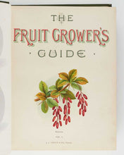 Load image into Gallery viewer, WRIGHT, John; May RIVERS ( illustrator ). The Fruit Grower’s Guide … [[bmid:2125823a]]