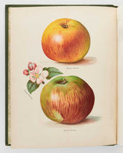 Load image into Gallery viewer, WRIGHT, John; May RIVERS ( illustrator ). The Fruit Grower’s Guide … [[bmid:2125823g]]