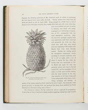 Load image into Gallery viewer, WRIGHT, John; May RIVERS ( illustrator ). The Fruit Grower’s Guide … [[bmid:2125823h]]