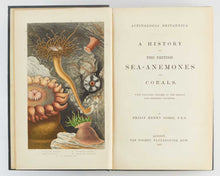 Load image into Gallery viewer, GOSSE, Philip Henry. Actinologia Britannica. A History of the British Sea-Anemones and Corals. [[bmid:2125971a]]