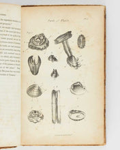 Load image into Gallery viewer, POE, Edgar Allan. The Conchologist’s First Book: or, A System of Testaceous Malacology, Arranged Expressly for the Use of Schools, in which the Animals, According to Cuvier, Are Given with the Shells, a Great Number of New Species Added, and the Whole Br… [[bmid:2125973c]]