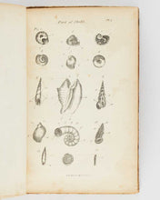 Load image into Gallery viewer, POE, Edgar Allan. The Conchologist’s First Book: or, A System of Testaceous Malacology, Arranged Expressly for the Use of Schools, in which the Animals, According to Cuvier, Are Given with the Shells, a Great Number of New Species Added, and the Whole Br… [[bmid:2125973d]]