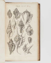 Load image into Gallery viewer, SOWERBY, George Brettingham. A Conchological Manual. [[bmid:2125974c]]