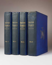 Load image into Gallery viewer, COUCH, Jonathan. A History of the Fishes of the British Islands.