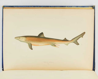 COUCH, Jonathan. A History of the Fishes of the British Islands. [[bmid:2125975c]]