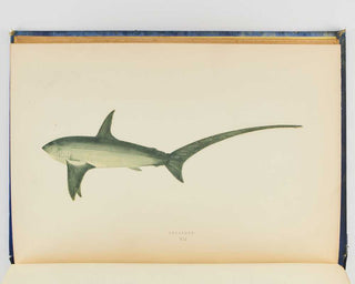 COUCH, Jonathan. A History of the Fishes of the British Islands. [[bmid:2125975d]]